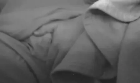 Due bei ragazzi che esplorano video orgia italiana Bianca