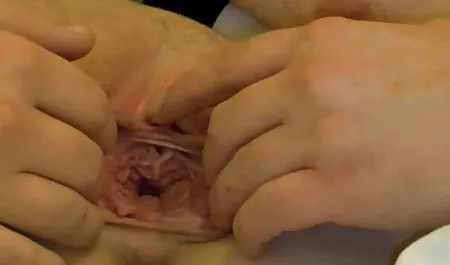 Sexy MarryAnn riempie la figa con un grosso video porno di orge italiane dildo